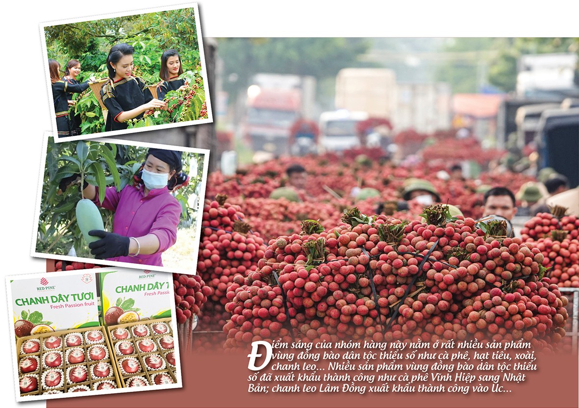 Longform | Nông sản vùng cao ‘chạm’ giấc mơ toàn cầu Longform | Nông sản vùng cao ‘chạm’ giấc mơ toàn cầu