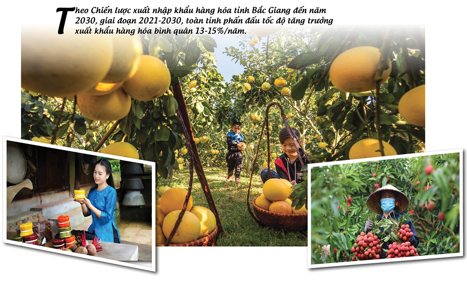 Longform | Nông sản vùng cao ‘chạm’ giấc mơ toàn cầu Longform | Nông sản vùng cao ‘chạm’ giấc mơ toàn cầu