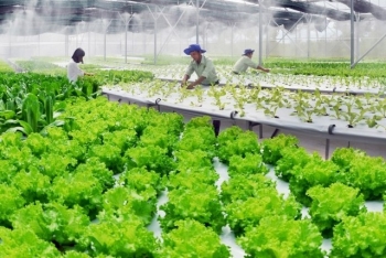 Học sinh nông thôn sáng tạo công nghệ phục vụ sản xuất