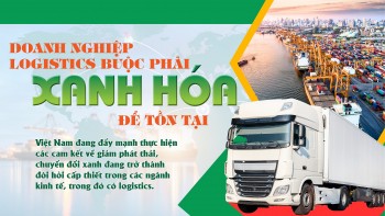 Doanh nghiệp logistics buộc phải xanh hóa để tồn tại
