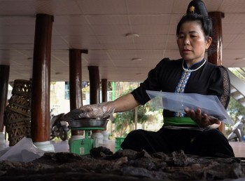 Hun khói thịt trâu, thắp sáng khát vọng vươn lên thoát nghèo