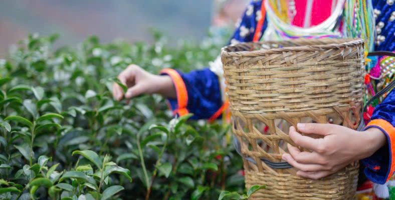 Bí thư Hầu A Lềnh: Hiện thực hóa Nghị quyết 11