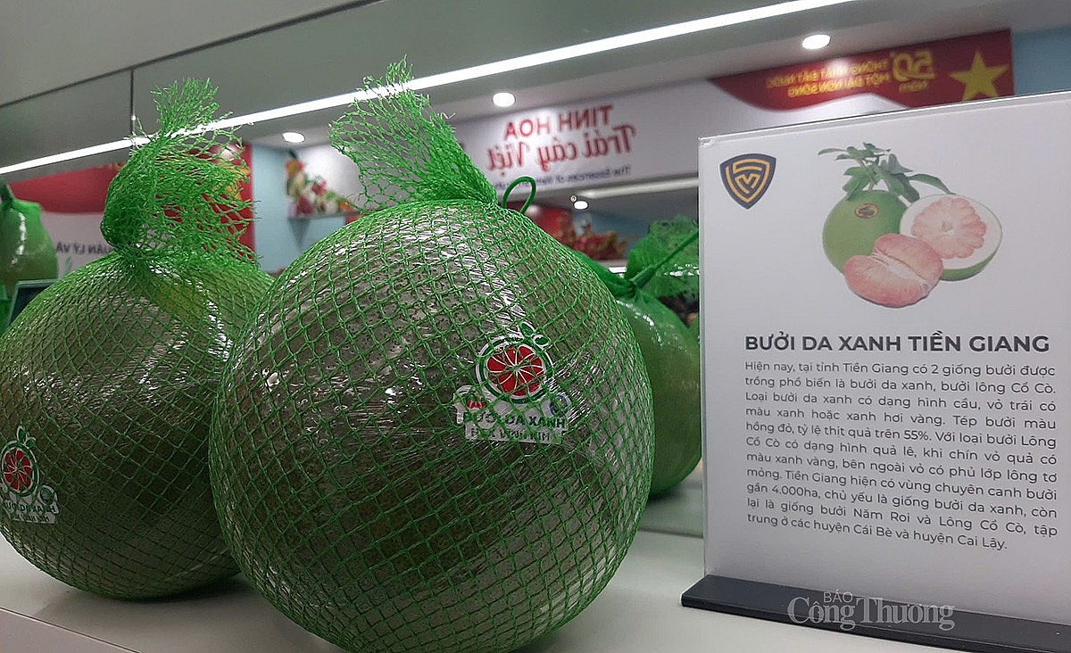 Bưởi da xanh Tiền Giang có mặt tại không gian trưng bày Bưởi da xanh Tiền Giang có mặt tại không gian trưng bày