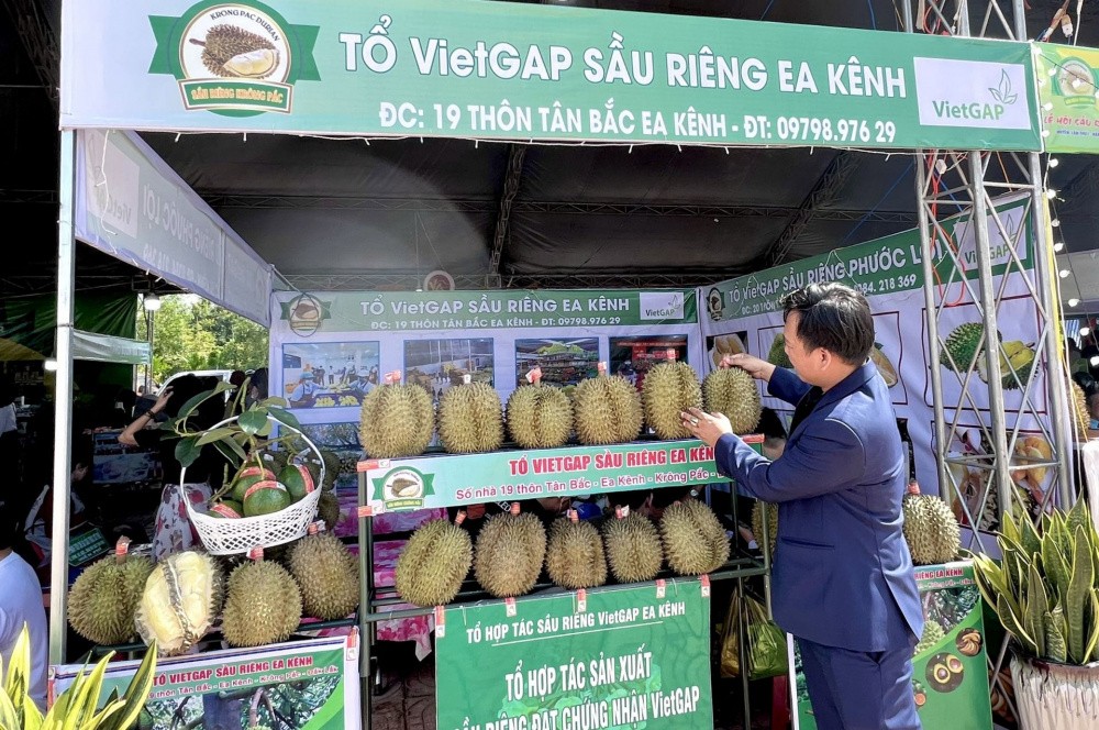 Đồng bào dân tộc thiểu số làm giàu từ nông sản sạch