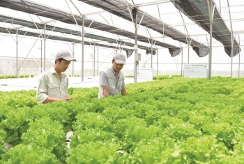 Nông thôn mới và cơ hội từ kinh tế tuần hoàn​