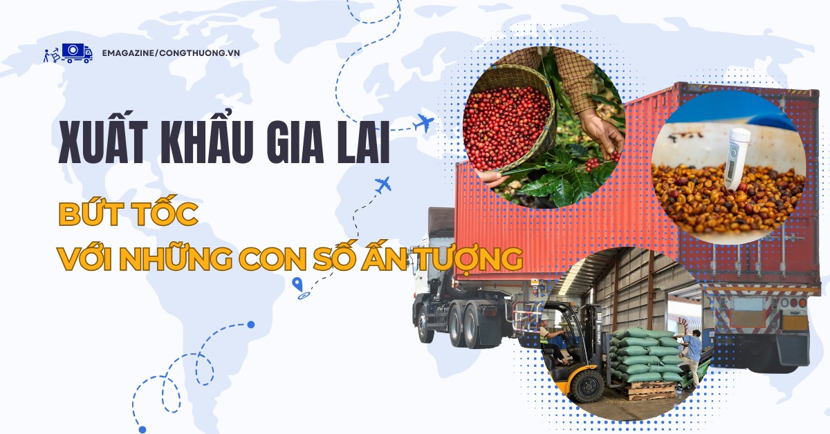 Doanh nghiệp Gia Lai trước thách thức của thị trường xuất khẩu Doanh nghiệp Gia Lai trước thách thức của thị trường xuất khẩu