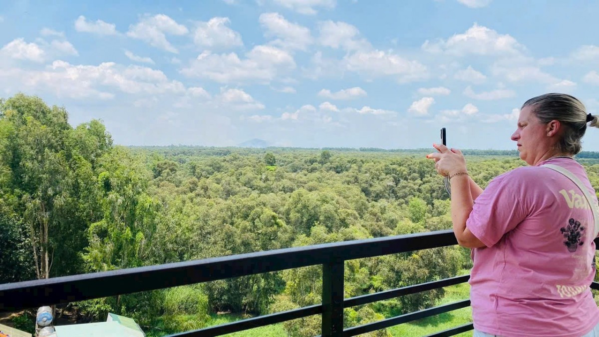 Rừng tràm Trà Sư vẻ đẹp của thiên nhiên ban tặng Rừng tràm Trà Sư vẻ đẹp của thiên nhiên ban tặng