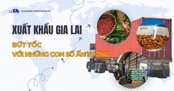 Xuất khẩu Gia Lai: Bứt tốc với những con số ấn tượng