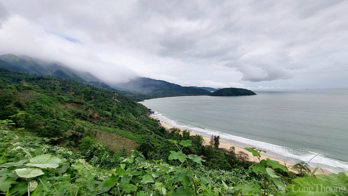 Bí thư Đà Nẵng: Xây 5 đảo nổi tại Vịnh Đà Nẵng Bí thư Đà Nẵng: Xây 5 đảo nổi tại Vịnh Đà Nẵng