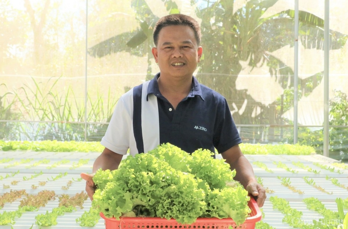 Trồng rau thuỷ canh ở làng - công nghệ len lỏi đất nông