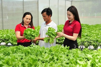 Agribank – Điểm tựa vững vàng cho kinh tế tư nhân bứt phá