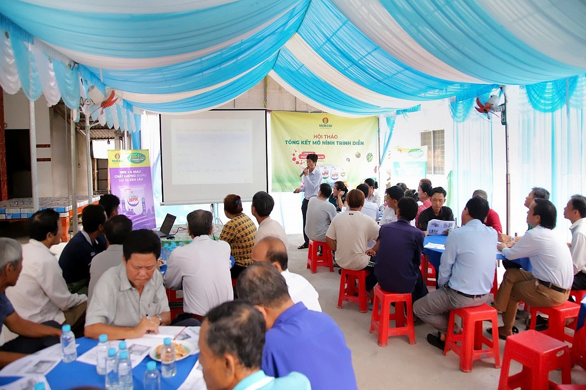 Mô hình trồng mít Thái hiệu quả nhờ NPK Cà Mau Mô hình trồng mít Thái hiệu quả nhờ NPK Cà Mau