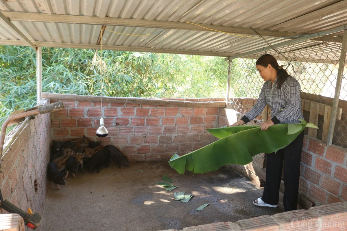 đồng bào dân tộc thiểu số