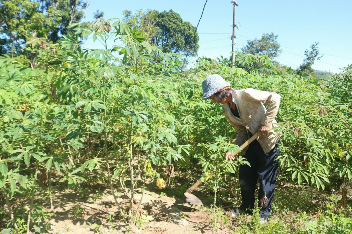 đồng bào dân tộc thiểu số