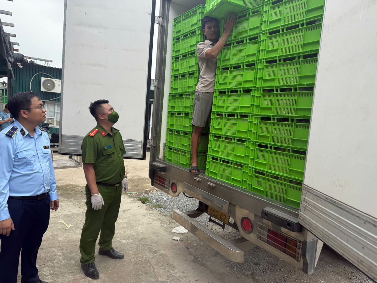 Hà Nội tạm giữ hơn 18 tấn gà không rõ nguồn gốc Hà Nội tạm giữ hơn 18 tấn gà không rõ nguồn gốc