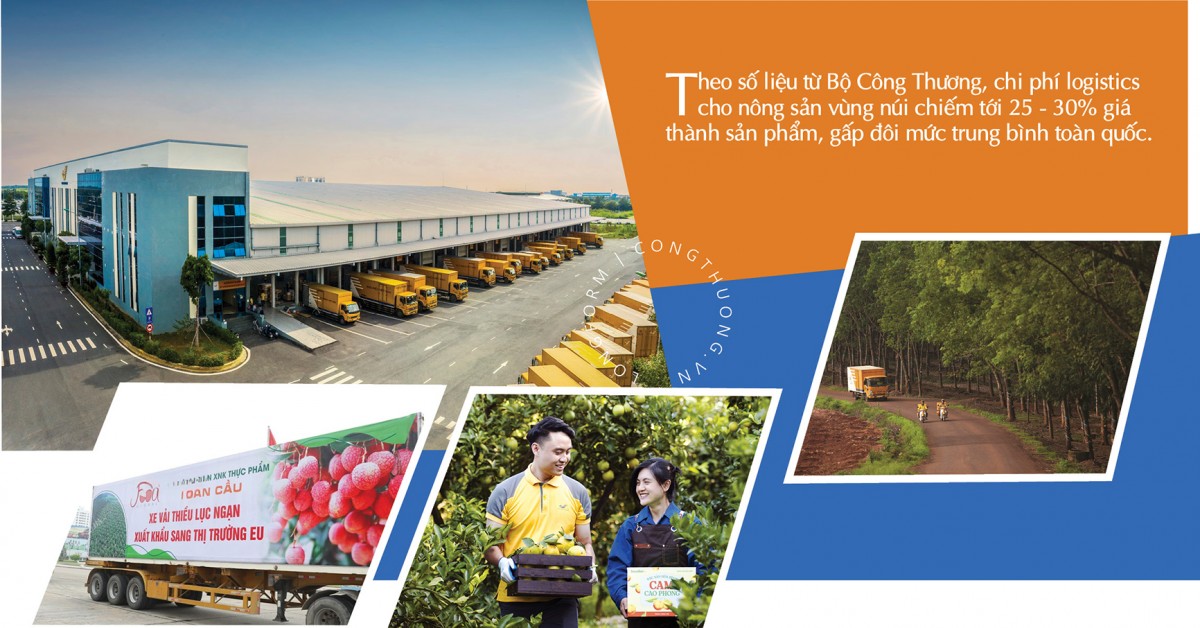 Longform | Để nông sản miền núi không còn ‘lỡ hẹn’ những mùa vàng Longform | Để nông sản miền núi không còn ‘lỡ hẹn’ những mùa vàng