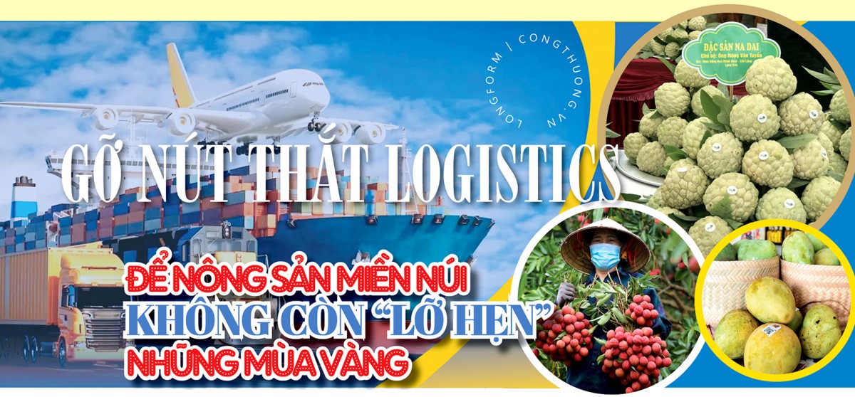 Longform | Để nông sản miền núi không còn ‘lỡ hẹn’ những mùa vàng Longform | Để nông sản miền núi không còn ‘lỡ hẹn’ những mùa vàng