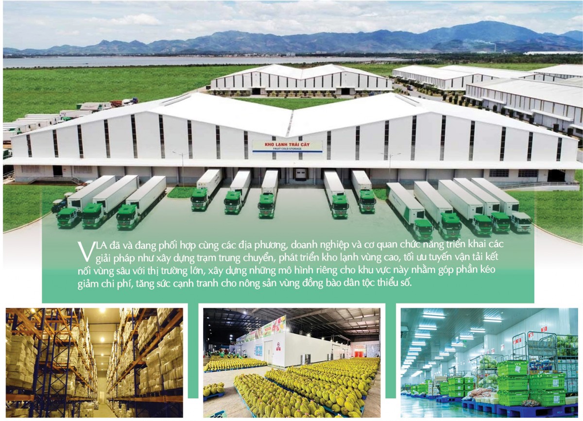 Longform | Để nông sản miền núi không còn ‘lỡ hẹn’ những mùa vàng Longform | Để nông sản miền núi không còn ‘lỡ hẹn’ những mùa vàng