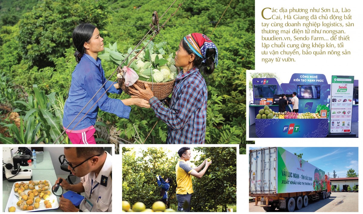 Longform | Để nông sản miền núi không còn ‘lỡ hẹn’ những mùa vàng Longform | Để nông sản miền núi không còn ‘lỡ hẹn’ những mùa vàng