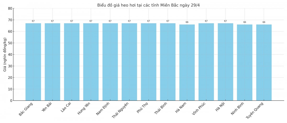 Biểu đồ giá heo hơi tại các tỉnh miền Bắc ngày 29/4. Biểu đồ giá heo hơi tại các tỉnh miền Bắc ngày 29/4.