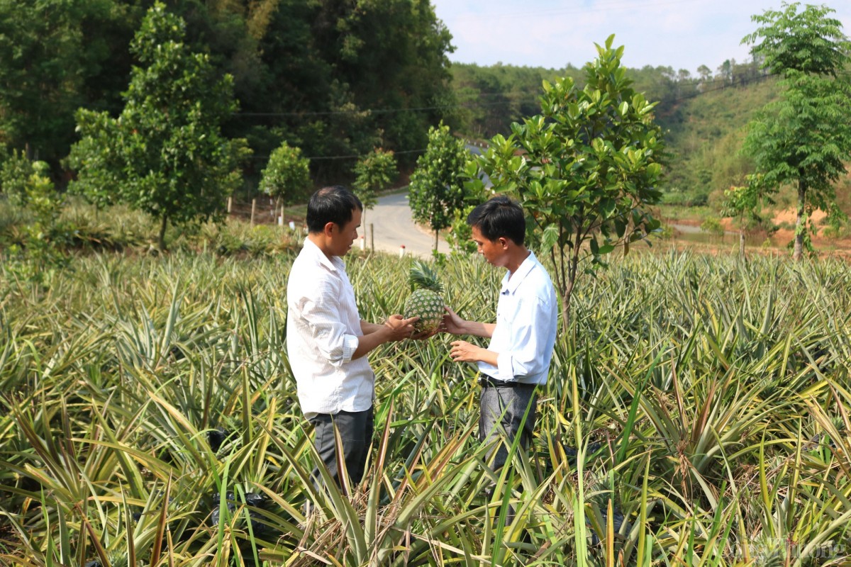 giảm nghèo bền vững giảm nghèo bền vững