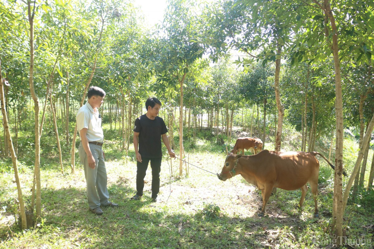 giảm nghèo bền vững giảm nghèo bền vững