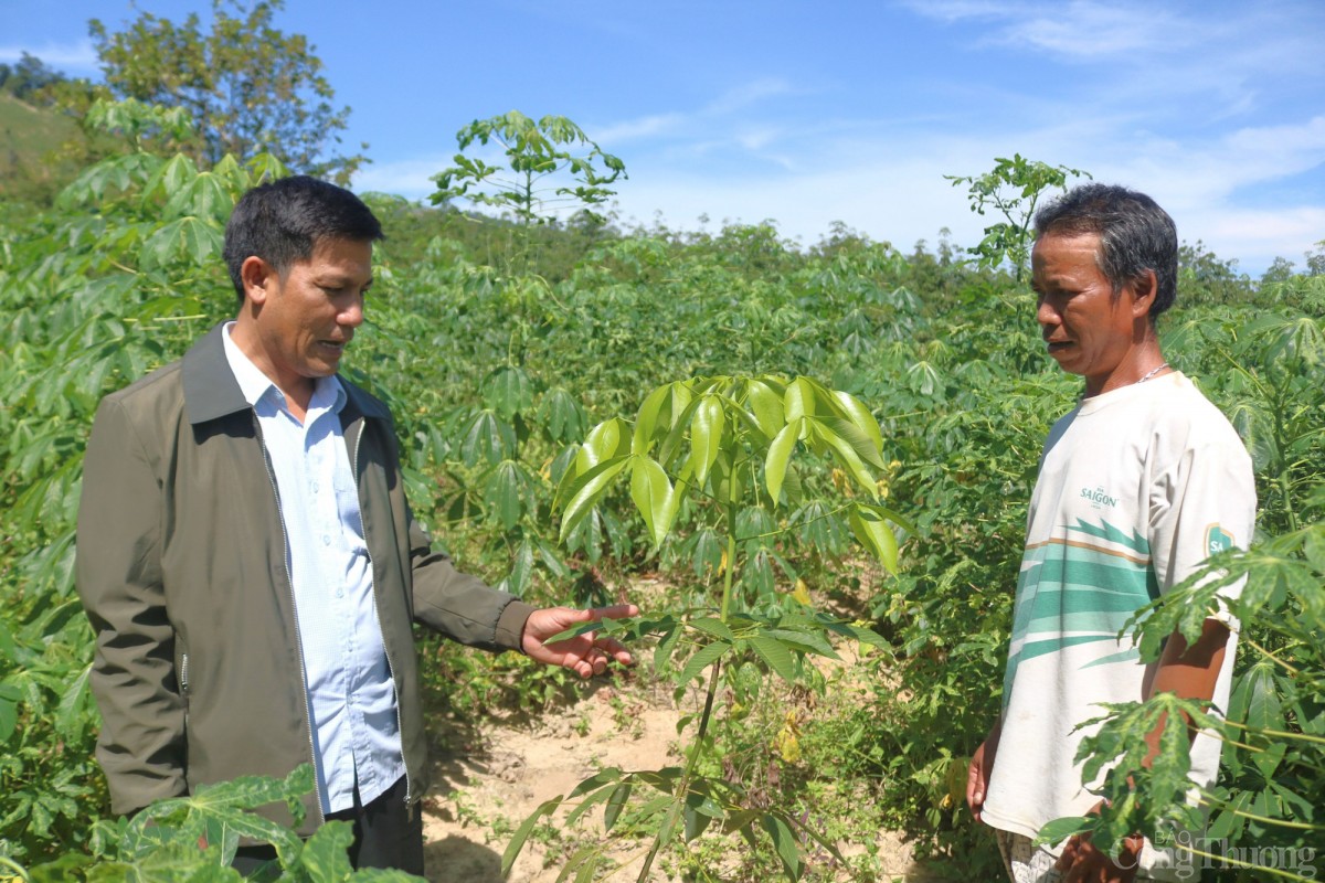 giảm nghèo bền vững giảm nghèo bền vững
