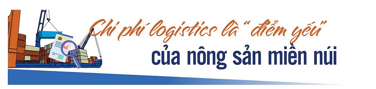 Longform | Để nông sản miền núi không còn ‘lỡ hẹn’ những mùa vàng Longform | Để nông sản miền núi không còn ‘lỡ hẹn’ những mùa vàng