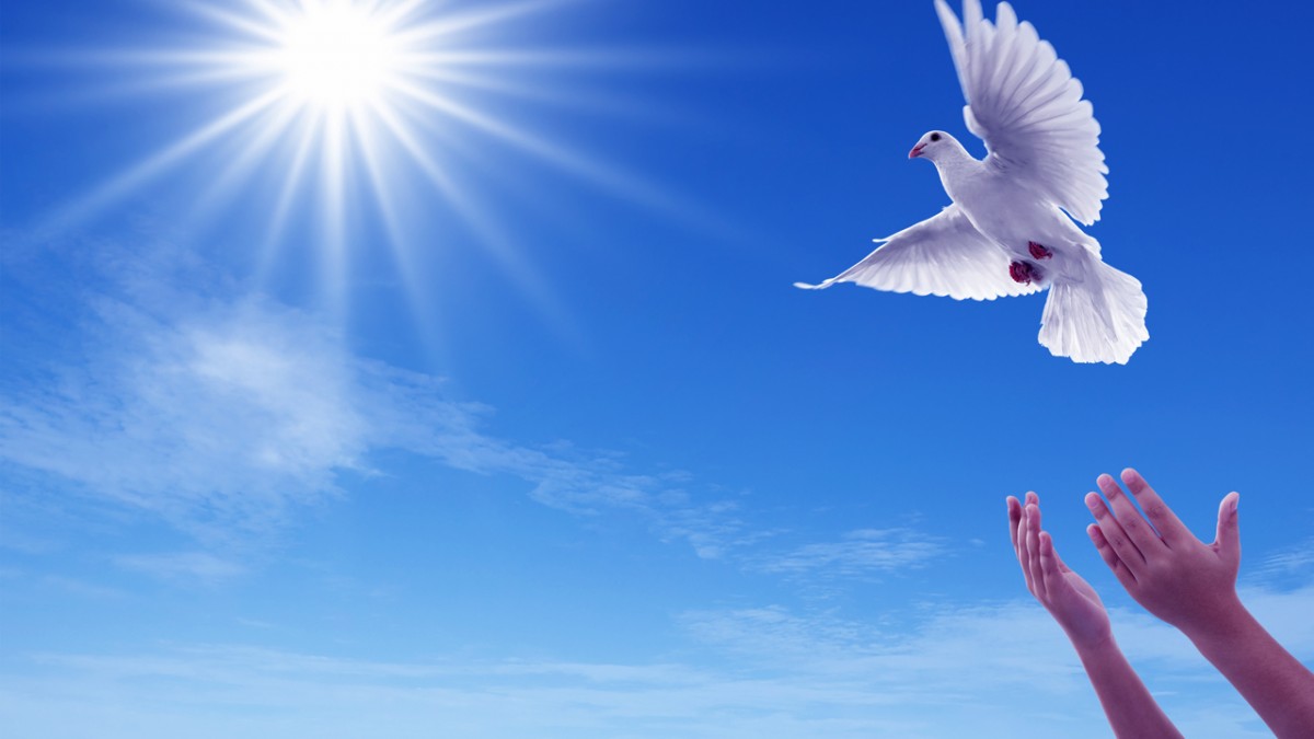 những người Công Thương đang viết tiếp câu chuyện hoà bình bằng trái tim, bàn tay, khối óc để cho đất nước mãi tiến về phía trước. Ảnh minh họa những người Công Thương đang viết tiếp câu chuyện hoà bình bằng trái tim, bàn tay, khối óc để cho đất nước mãi tiến về phía trước. Ảnh minh họa