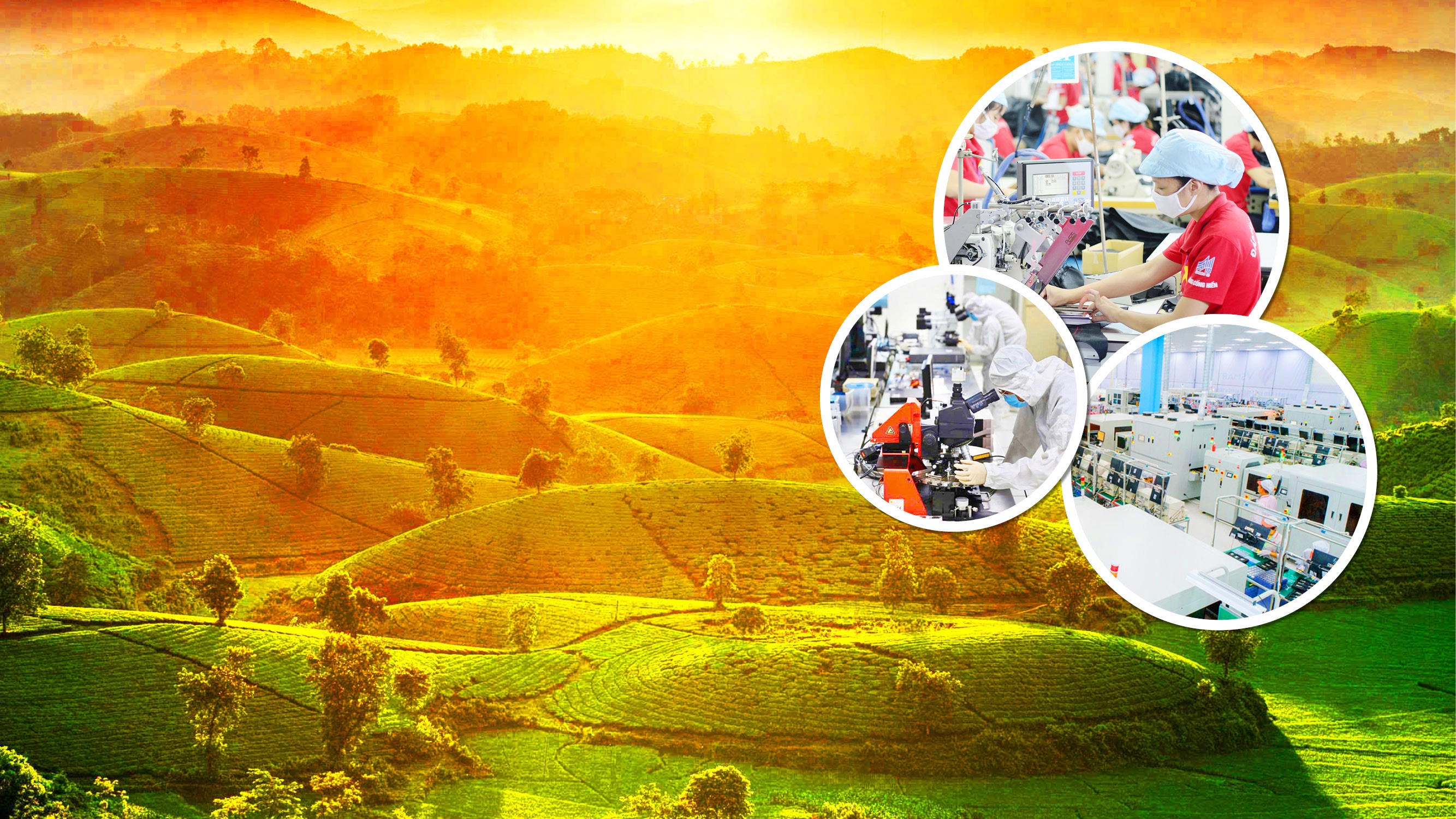 Sáp nhập tỉnh: Cơ hội 'vàng' tăng trưởng công nghiệp, thương mại - 11