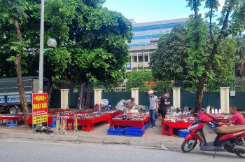 'Hàng Nhật bãi' bày bán vỉa hè: Thật - giả lẫn lộn