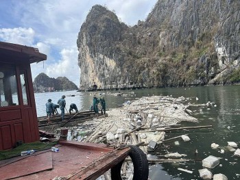 Quảng Ninh: Không đánh đổi môi trường lấy tăng trưởng