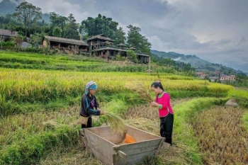 Chuyển đổi số du lịch nông thôn mới: Tiềm năng còn bỏ ngỏ