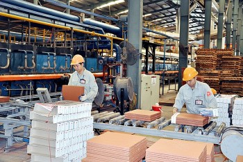 Kinh tế tư nhân Việt Nam có giá trị nhân văn cao cả