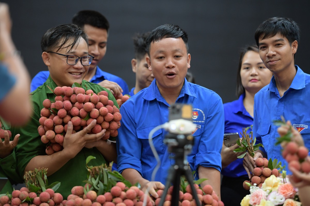 Nhiều đoàn viên thanh niên hỗ trợ livestream bán vải thiều cho người dân Lục Ngạn. Ảnh: Quang Huấn