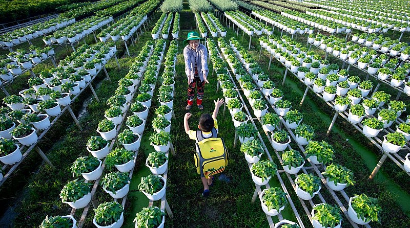 PVCFC ngày càng đề cao trách nhiệm doanh nghiệp trong bối cảnh thị trường toàn cầu PVCFC ngày càng đề cao trách nhiệm doanh nghiệp trong bối cảnh thị trường toàn cầu