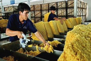 Xuất khẩu tăng mạnh, giá cao su cán mốc lịch sử mới