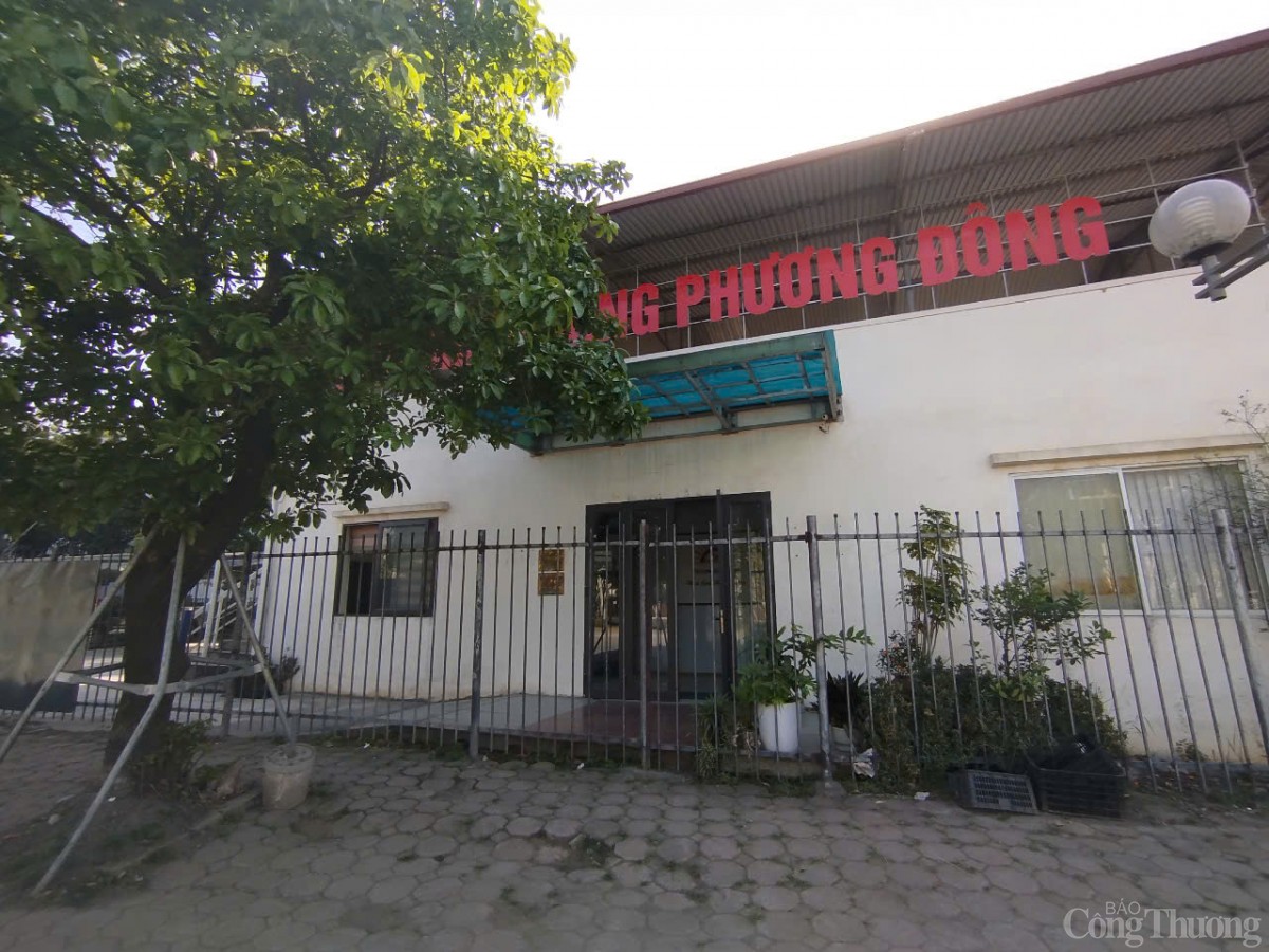 Hà Nội: Quy hoạch đất cây xanh nhưng biến thành nhà xưởng