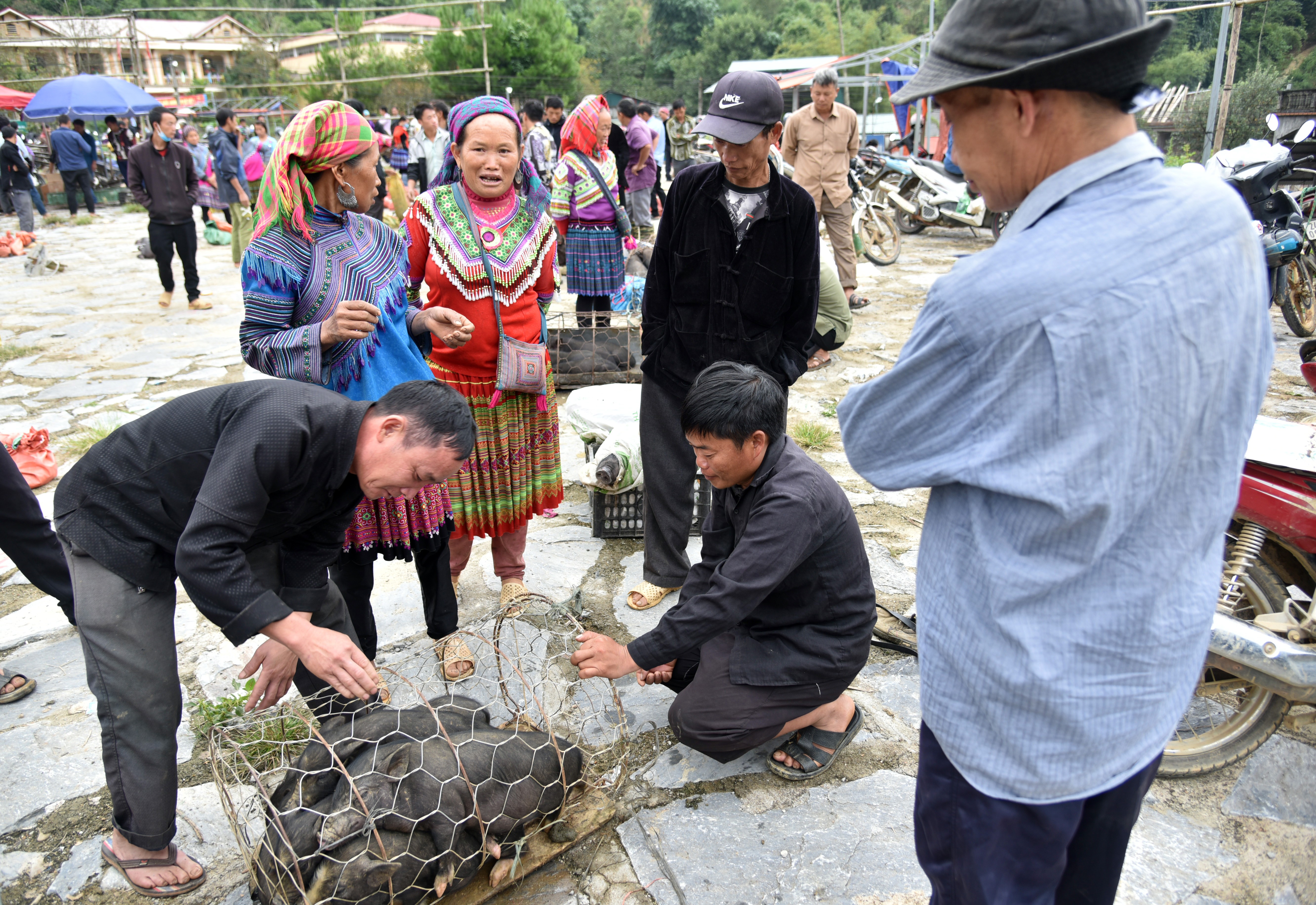 Longform | Phát triển chợ vùng dân tộc và miền núi: Khu vực đặc thù cần chính sách đặc thù Longform | Phát triển chợ vùng dân tộc và miền núi: Khu vực đặc thù cần chính sách đặc thù