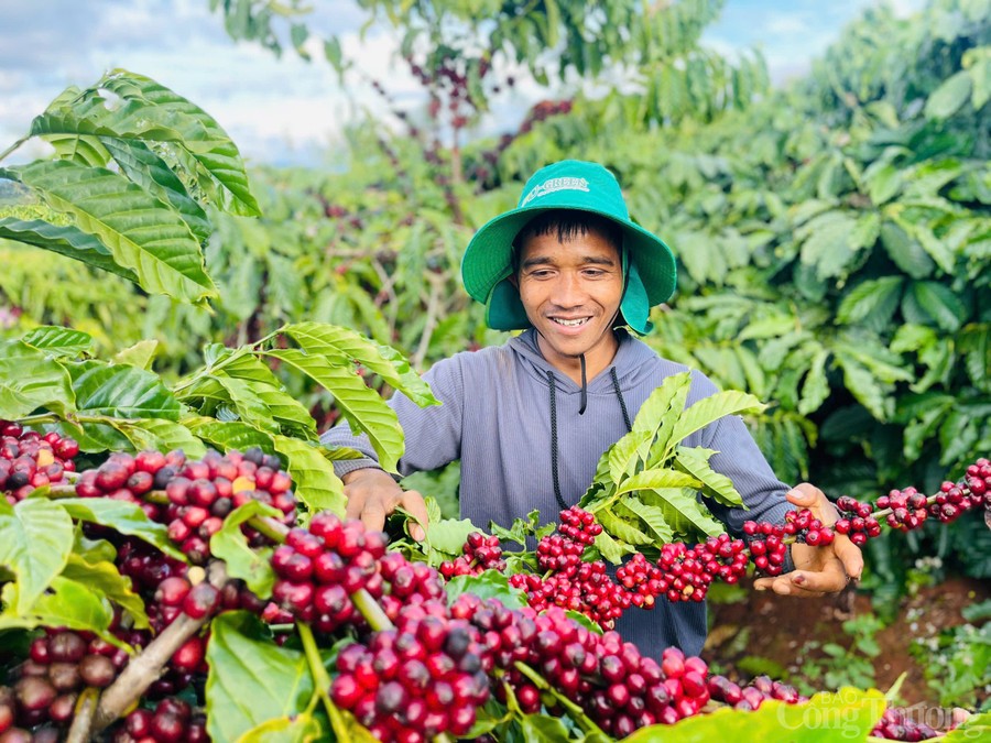 ứng dụng AI ứng dụng AI