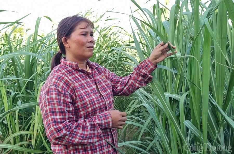 ứng dụng AI ứng dụng AI