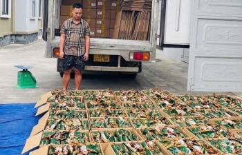 Công an tỉnh Tuyên Quang thu giữ 5,3 tấn chân gà rút xương