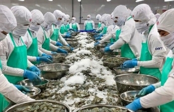 Ngành thủy sản linh hoạt thị trường xuất khẩu