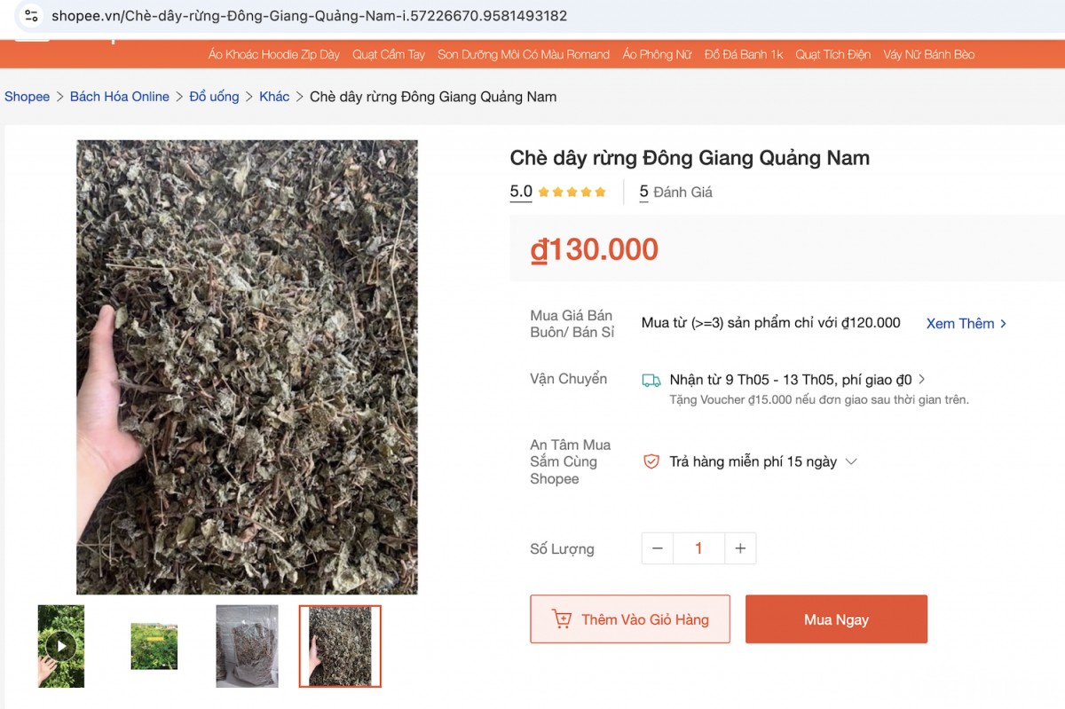 Người Cơ Tu thoát nghèo nhờ chè dây Ra Zéh Người Cơ Tu thoát nghèo nhờ chè dây Ra Zéh