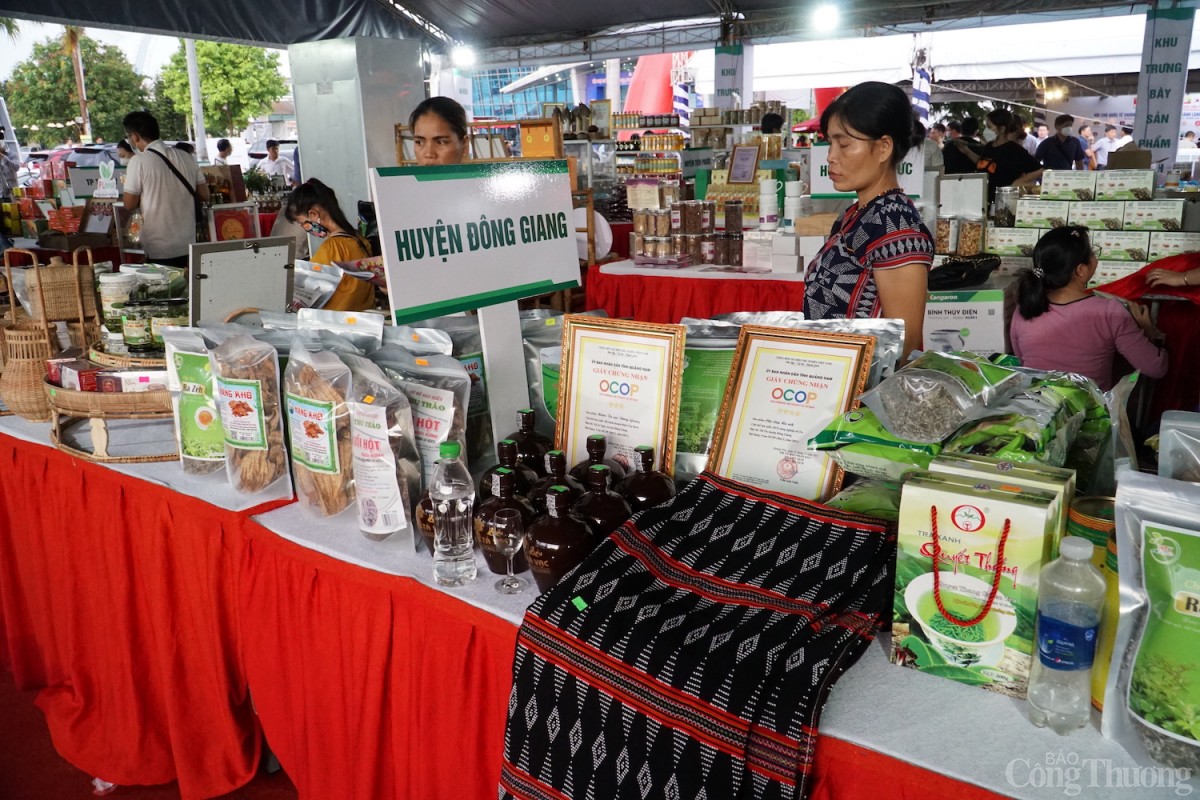 Người Cơ Tu thoát nghèo nhờ chè dây Ra Zéh Người Cơ Tu thoát nghèo nhờ chè dây Ra Zéh