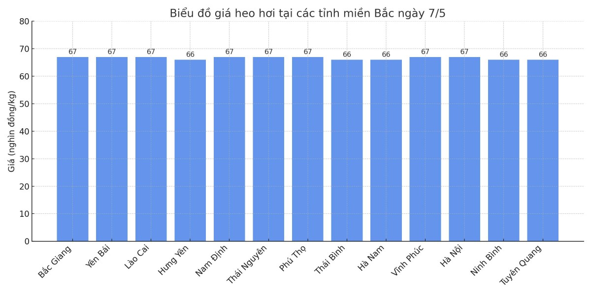 Biểu đồ giá heo hơi tại các tỉnh miền Bắc ngày 7/5. Biểu đồ giá heo hơi tại các tỉnh miền Bắc ngày 7/5.