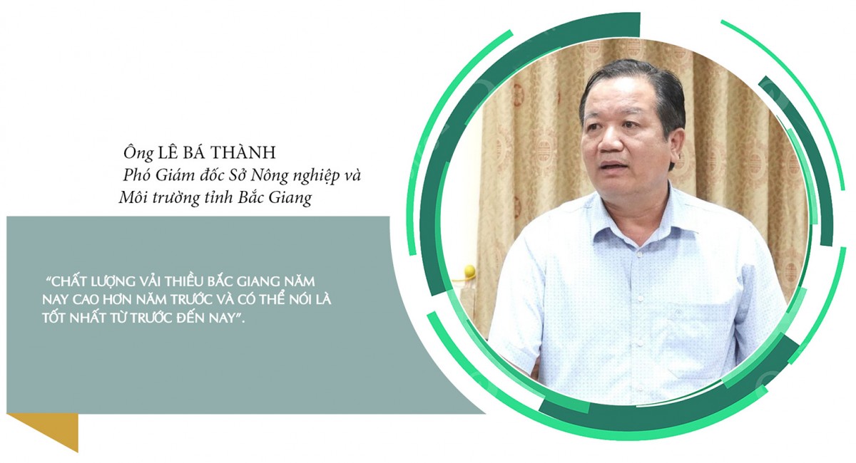 Longform | Vụ vải thiều 2025: Đặc sản miền núi bứt phá thị trường toàn cầu Longform | Vụ vải thiều 2025: Đặc sản miền núi bứt phá thị trường toàn cầu