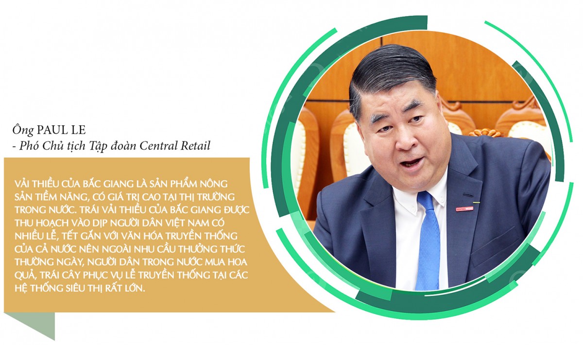 Longform | Vụ vải thiều 2025: Đặc sản miền núi bứt phá thị trường toàn cầu Longform | Vụ vải thiều 2025: Đặc sản miền núi bứt phá thị trường toàn cầu