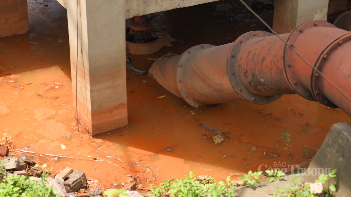 Bắc Ninh: Biệt thự nhà vườn bên cạnh cụm công nghiệp ô