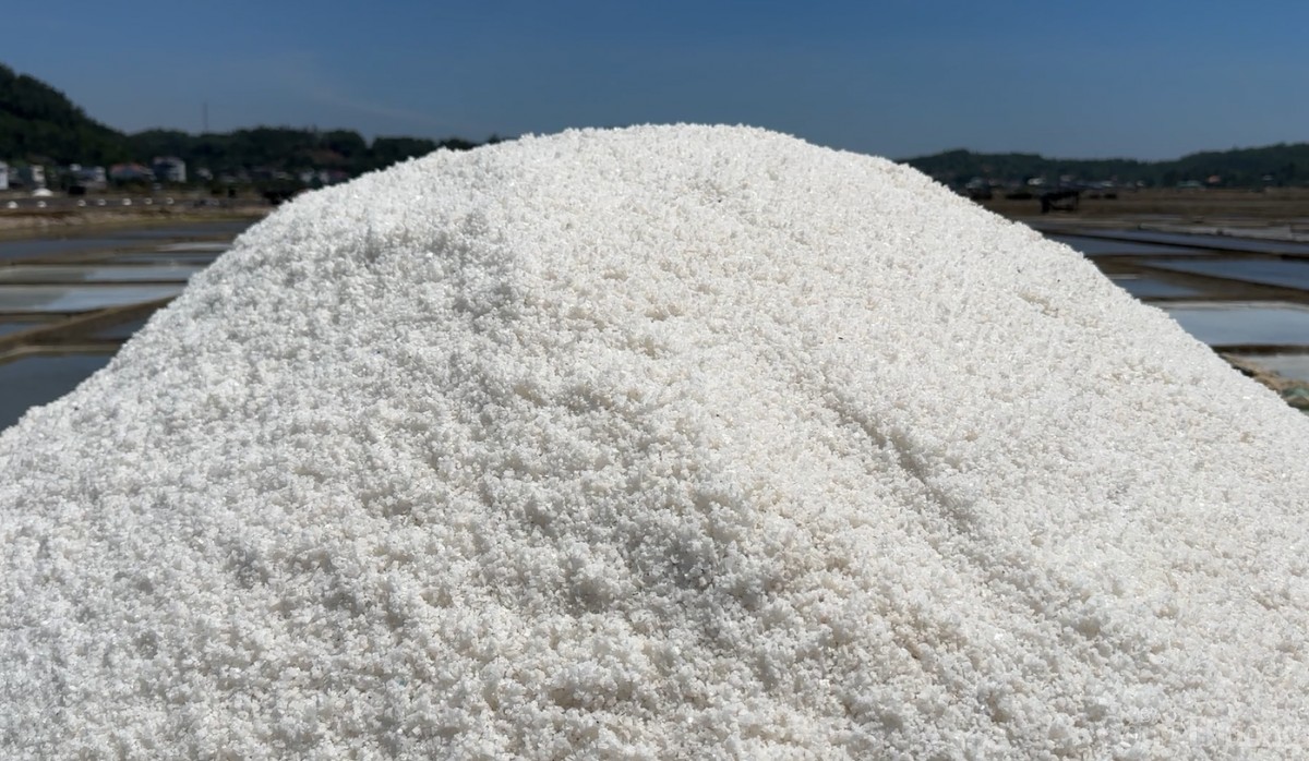 Muối thành phẩm trắng tinh nhưng sức tiêu thụ không ổn định Muối thành phẩm trắng tinh nhưng sức tiêu thụ không ổn định